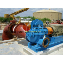 Horizontal Split Case Centrifugal Pump (XS)